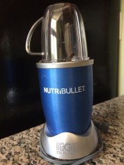 This bad boy will multi-task all your baby food needs.