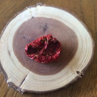 finished and ready to freeze